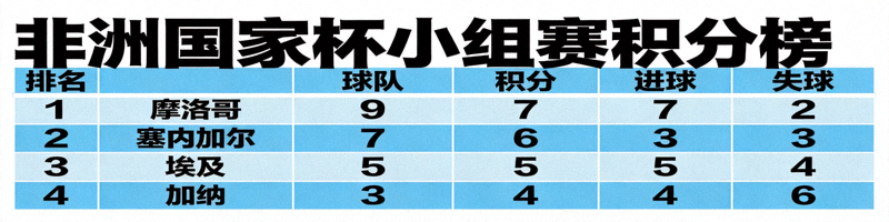非洲国家杯小组赛积分榜表格，显示各队排名、积分、进球与失球数据