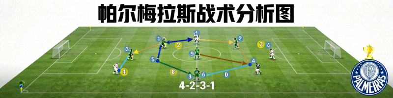 帕尔梅拉斯球队战术分析图，显示球员跑位与阵型布局，背景是南美解放者杯标志